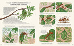 Flamboyant - Con calma. 50 Historias De La Naturaleza